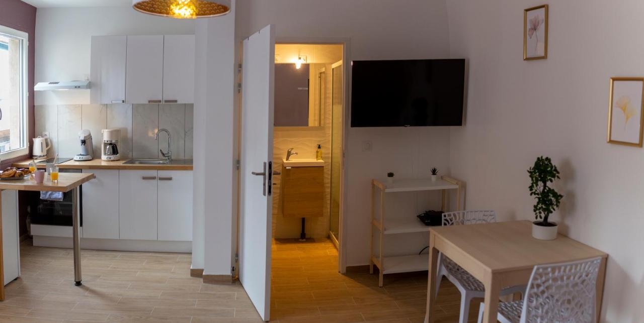 Loc Trotteur Le Pivoine Studio Grand Confort, Gare Sncf De Lourdes Zewnętrze zdjęcie